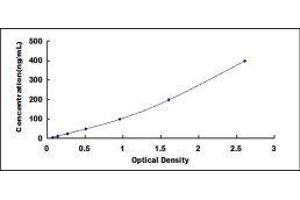 Typical standard curve (SERPINA6 ELISA Kit)