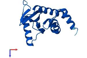 AP2S1 Protein (AA 1-142) (His tag)