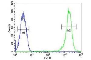 Flow Cytometry (FACS) image for anti-Caspase 3 (CASP3) (AA 149-179) antibody (ABIN3030296)