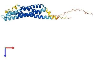 MS4A3 Protein (AA 1-213) (His tag)