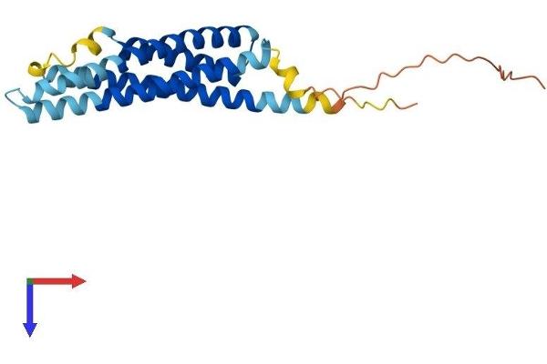 MS4A3 Protein (AA 1-213) (His tag)