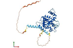 Protein Structure (PS) image for Carbohydrate (N-Acetylgalactosamine 4-0) Sulfotransferase 14 (CHST14) (AA 1-376) protein (His tag) (ABIN7553480)