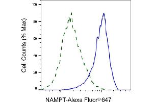 Flow cytometric analysis of NAMPT expression in HepG2 cells using NAMPT antibody (ABIN7799595), 1:2,000). (Rekombinanter NAMPT Antikörper)