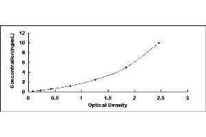 Typical standard curve (ADAMTS7 ELISA Kit)