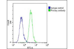 Overlay histogram showing A549 cells stained with (ABIN6243218 and ABIN6578914)(green line).