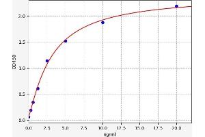 Typical standard curve (PPIF ELISA Kit)