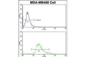 Flow cytometric analysis of MDA-M cells using HSP Antibody (Center)(bottom histogram) compared to a negative control cell (top histogram)FITC-conjugated goat-anti-rabbit secondary antibodies were used for the analysis. (BRISC and BRCA1 A Complex Member 1 (BABAM1) (AA 116-143) Antikörper)