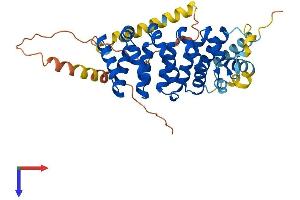 ARMCX3 Protein (AA 1-379) (His tag)