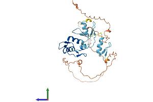 Protein Structure (PS) image for Snail Homolog 3 (SNAI3) (AA 1-292) protein (His tag) (ABIN7546136)