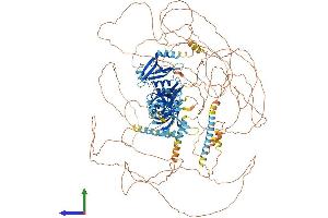 Protein Structure (PS) image for Par-3 Partitioning Defective 3 Homolog (PARD3) (AA 1-1356) protein (His tag) (ABIN7554855)