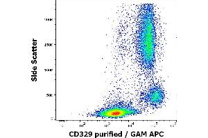 Flow cytometry surface staining pattern of human peripheral whole blood stained using anti-human CD329 (K8) purified antibody (concentration in sample 1,7 μg/mL, GAM APC). (SIGLEC9 Antikörper)