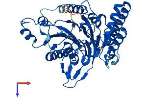 SCRN2 Protein (AA 1-425) (His tag)