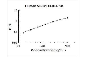 V-Set and Immunoglobulin Domain Containing 1 (VSIG1) ELISA Kit