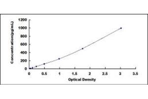 ELISA image for C-Reactive Protein (CRP) ELISA Kit (ABIN1874230)