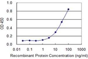 Detection limit for recombinant GST tagged COX15 is 1 ng/ml as a capture antibody. (COX15 Antikörper  (AA 92-152))