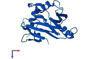ADI1 Protein (AA 1-179) (His tag)