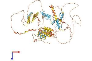 HIC1 Protein (AA 1-733) (His tag)