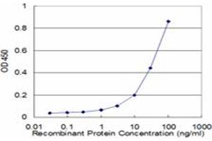 Detection limit for recombinant GST tagged PRDX2 is approximately 3ng/ml as a capture antibody. (Peroxiredoxin 2 Antikörper  (AA 1-198))