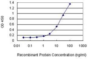 Detection limit for recombinant GST tagged GZMB is 0. (GZMB Antikörper  (AA 148-247))