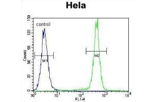 Flow Cytometry (FACS) image for anti-Protocadherin beta 10 (PCDHB10) antibody (ABIN2996327) (PCDHB10 Antikörper)