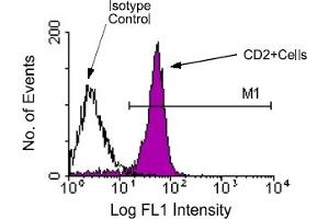 Flow Cytometry (FACS) image for anti-CD2 (CD2) antibody (FITC) (ABIN356209) (CD2 Antikörper  (FITC))