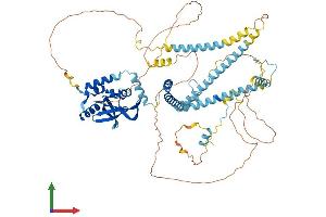 Protein Structure (PS) image for RNA polymerase-associated protein RTF1 homolog (RTF1) (AA 1-710) protein (His tag) (ABIN7555296)