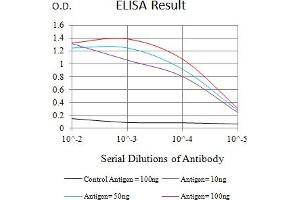 Black line: Control Antigen (100 ng),Purple line: Antigen (10 ng), Blue line: Antigen (50 ng), Red line:Antigen (100 ng) (TEK Antikörper  (AA 571-748))