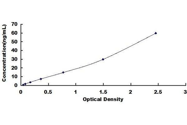 ADCY1 ELISA Kit