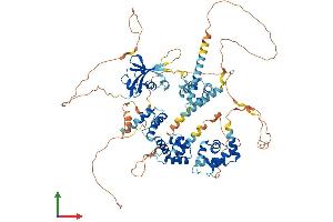 AlphaFold protein structure predicition of Mouse Recombinant Satb1 Protein, UniprotID Q60611