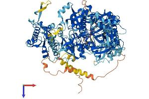 DIS3L Protein (AA 1-1053) (His tag)