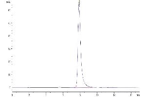 Size-exclusion chromatography-High Pressure Liquid Chromatography (SEC-HPLC) image for SLAM Family Member 7 (SLAMF7) (AA 23-224) protein (His tag) (ABIN7275634)