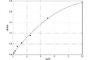 Transaldolase 1 (TALDO1) ELISA Kit