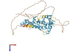 ZBTB6 Protein (AA 1-424) (His tag)