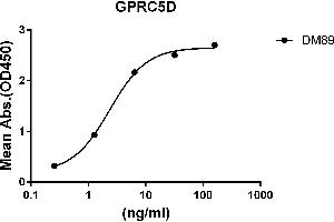 ELISA plate pre-coated by 2 μg/mL (100 μL/well) Human GPRC5D protein, hFc-His tagged protein ((ABIN6961124, ABIN7042277 and ABIN7042278)) can bind Rabbit anti-GPRC5D monoclonal antibody(clone: DM89) in a linear range of 0. (GPRC5D Antikörper  (AA 1-27))