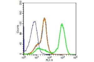 Flow Cytometry (FACS) image for anti-Purinergic Receptor P2Y, G-Protein Coupled, 10 (P2RY10) (AA 151-250) antibody (ABIN1387827)