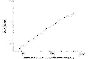 Phospholipase C beta 1 ELISA Kit