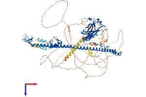 TRIM37 Protein (AA 1-964) (His tag)