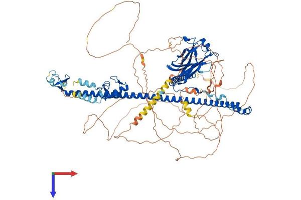 TRIM37 Protein (AA 1-964) (His tag)