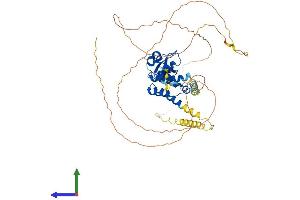 AlphaFold protein structure predicition of Human Recombinant PSIP1 Protein, UniprotID O75475