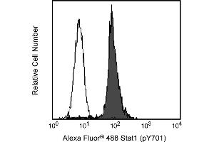 Flow Cytometry (FACS) image for anti-Signal Transducer and Activator of Transcription 1, 91kDa (STAT1) (pTyr701) antibody (Alexa Fluor 488) (ABIN1177191) (STAT1 Antikörper  (pTyr701) (Alexa Fluor 488))