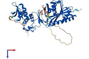 TRMT12 Protein (AA 1-448) (His tag)