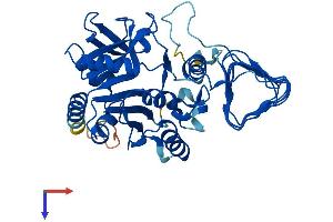 GMPPA Protein (AA 1-420) (His tag)