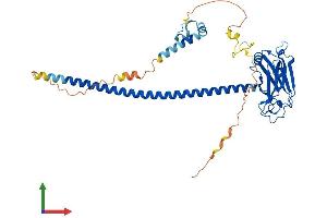 Protein Structure (PS) image for TNF Receptor-Associated Factor 1 (TRAF1) (AA 1-416) protein (His tag) (ABIN7544552)