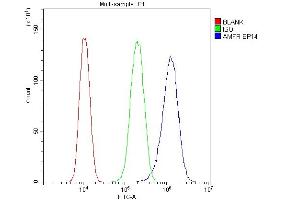 Flow Cytometry analysis of U87 cells using anti-AMFR antibody (ABIN4886455). (AMFR Antikörper  (AA 553-643))