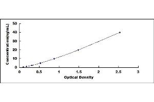 Vitamin D Receptor ELISA Kit