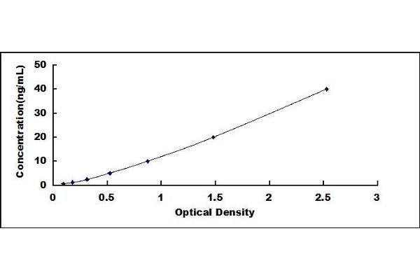 Vitamin D Receptor ELISA Kit