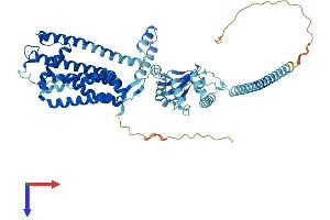 CNGA4 Protein (AA 1-575) (His tag)
