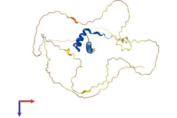 HOXC10 Protein (AA 1-342) (His tag)