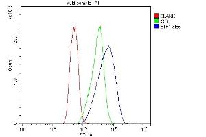 Flow Cytometry analysis of Caco-2 cells using anti-eRF1/ETF1 antibody (ABIN7602626). (ETF1 Antikörper  (AA 9-342))
