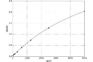 Nucleoporin 62kDa (NUP62) ELISA Kit